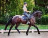 Dressurpferd PBM Fantastic Girl (Deutsches Sportpferd, 2018, von Fantastic)