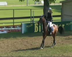 jumper Chery Lady 3 (Oldenburg show jumper, 2003, from Centesimo I)