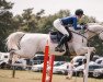 jumper Stan 44 (Oldenburg show jumper, 2009, from Stakkatol)