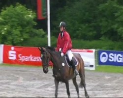 Springpferd Georgiana 3 (Hannoveraner, 2005, von Garant)