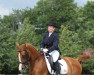 dressage horse MS Madrass 2005 ox (Arabian thoroughbred, 2005, from Kamerton)