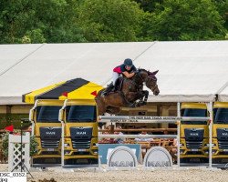 Springpferd First Vleut (KWPN (Niederländisches Warmblut), 2010, von Vleut)