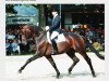 stallion Lord Sinclair I (Bavarian, 1994, from Lanciano)