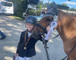 dressage horse Nemo (German Riding Pony, 2010, from Navaro)