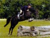 stallion Saccor (Bavarian, 1997, from Sandro Boy)
