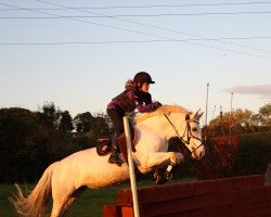 broodmare Sally Girl (Connemara Pony, 2004, from Glann's Owen)