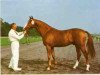 stallion Uppercut xx (Thoroughbred, 1960, from Fighting Don xx)