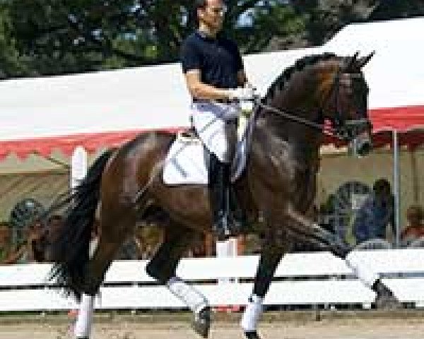 stallion Glock's Lord of Loxley (Oldenburg, 2000, from Lord Sinclair I)