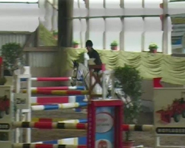 jumper Oginion (KWPN (Royal Dutch Sporthorse), 1996, from Damocles)