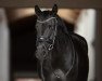 dressage horse Ferris De Luxe R (German Riding Pony, 2009, from Noir de Luxe)