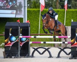 jumper Neo L (German Riding Pony, 2010, from Nibelungenheld)