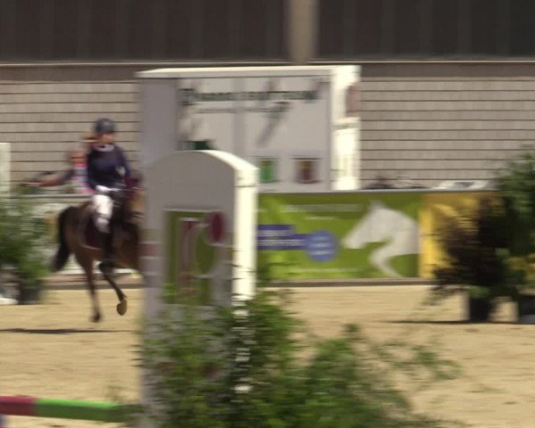 Reitturnier Olfen-Vinnum 2022
