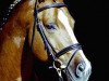 stallion Polypur (Rhinelander, 1992, from Palisandergrund)