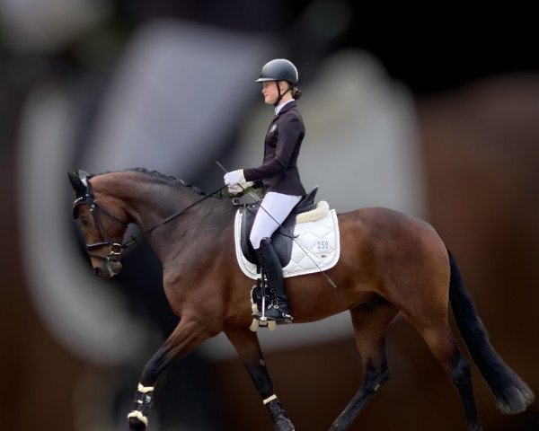 dressage horse Lucky-me (KWPN (Royal Dutch Sporthorse), 2016, from Glamourdale)