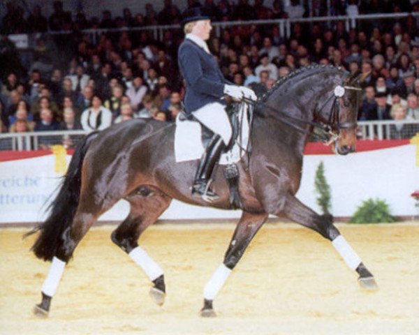 stallion Lord Sinclair II (Bavarian, 1999, from Lanciano)