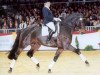 stallion Lord Sinclair II (Bavarian, 1999, from Lanciano)