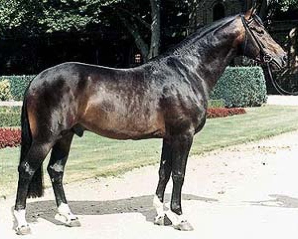 stallion Lamoureux II (Rhinelander, 1994, from Landadel)