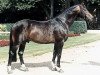 stallion Lamoureux II (Rhinelander, 1994, from Landadel)
