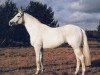 horse Neuquen xx (Thoroughbred, 1971, from Hardicanute xx)