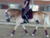 horse Lissy (Haflinger, 2016, from Aleskay)