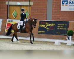 dressage horse Nesquick Jh (German Riding Pony, 2018, from Fs Numero Uno)