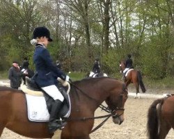 jumper Margaux Rouge (Deutsches Reitpony, 2006, from FS Golden Moonlight)