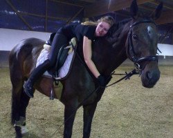 dressage horse Loretta (Westphalian, 1998, from Lamoureux II)