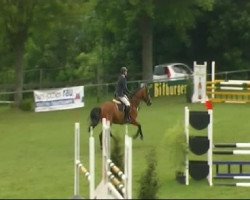 jumper Cabalito 2 (Württemberger, 2006, from Chequille 2)