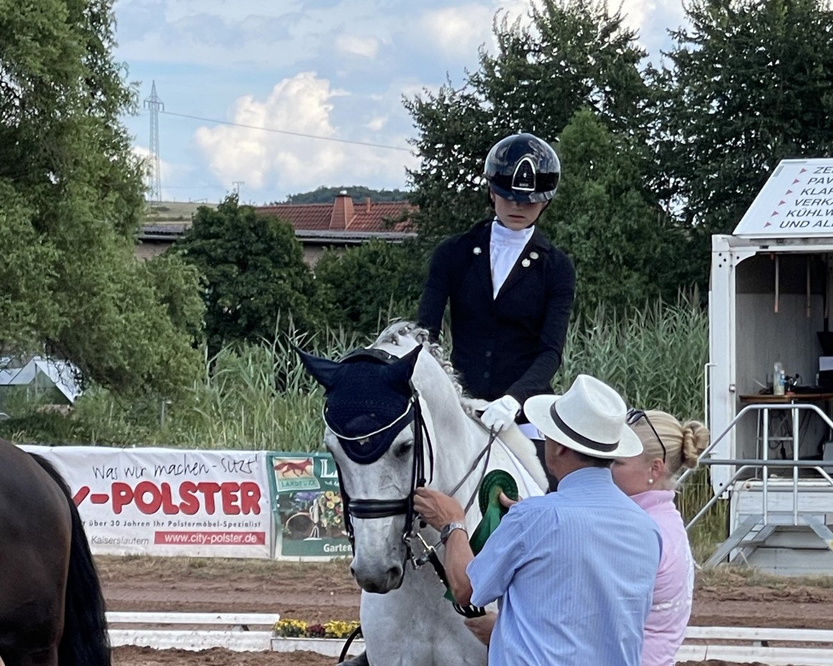 dressage horse Hocus Pocus (KWPN (Royal Dutch Sporthorse), 2012, from Westenwind)
