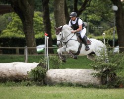 Springpferd Ferrari 138 (KWPN (Niederländisches Warmblut), 2010, von Cilvano D'Haverlande)