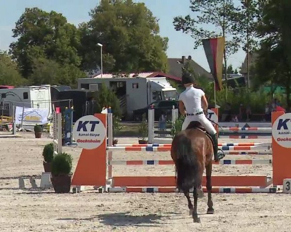 Reitturnier Grafenrheinfeld/Ufr. 2022