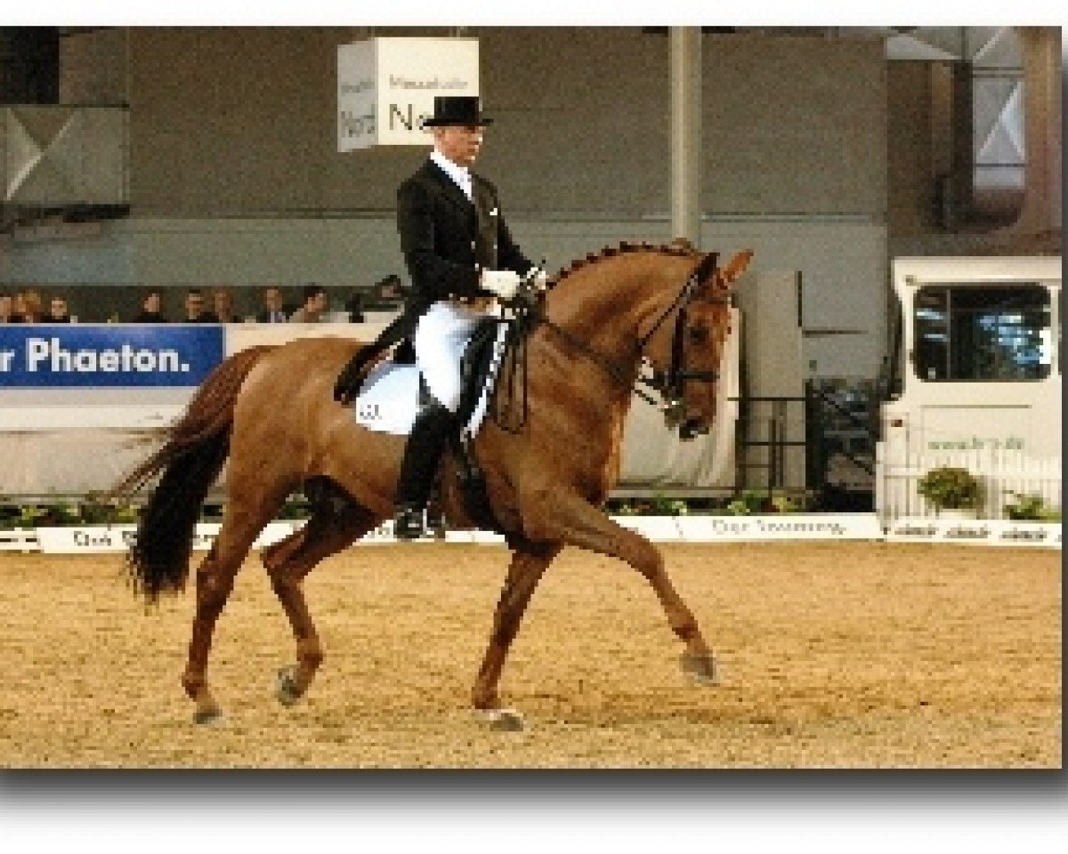 stallion Breitling W (Hanoverian, 1991, from Bismarck)