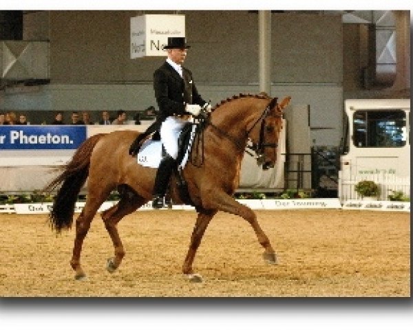 horse Breitling W (Hanoverian, 1991, from Bismarck)