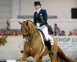 dressage horse Liostro 48 (Hanoverian, 2002, from Le Primeur)