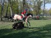 jumper Isabell 200 (German Riding Pony, 1996)