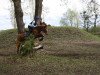 dressage horse Halkas Julstjärna (German Riding Pony, 1995, from Norman)