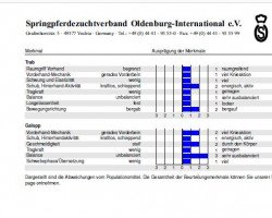 Pferd Greta Blue HS (Oldenburger Springpferd, 2022, von Chaccothage Blue PS)