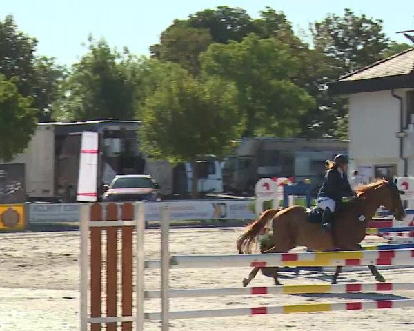 Reitturnier Grafenrheinfeld/Ufr. 2022