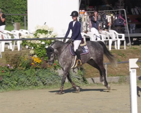 Reitturnier Oberderdingen 2022