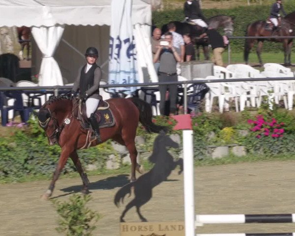 Reitturnier Oberderdingen 2022