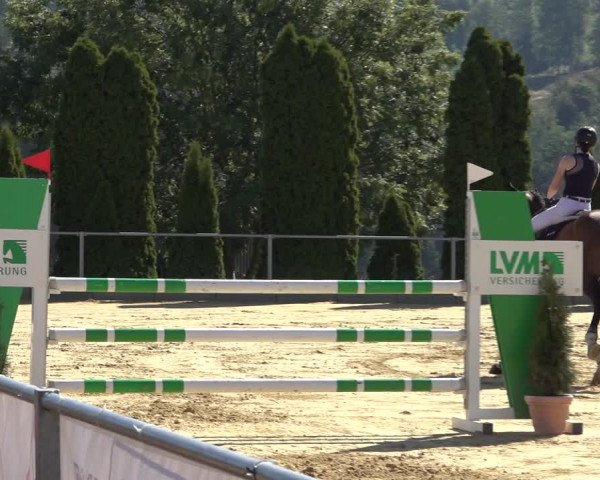 Reitturnier Kreiensen- Rittierode 2022