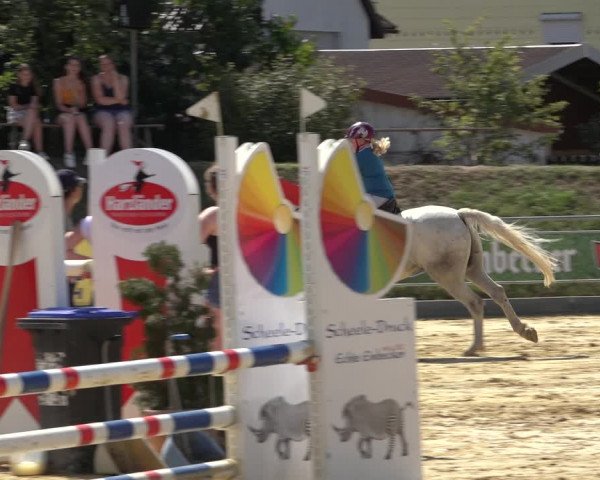 Reitturnier Kreiensen- Rittierode 2022