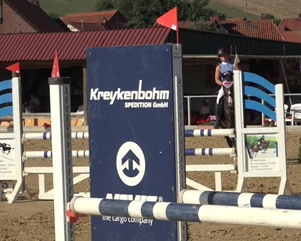 Reitturnier Kreiensen- Rittierode 2022
