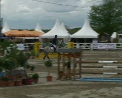 stallion Casirano (Belgian Warmblood,  , from Cassini II)