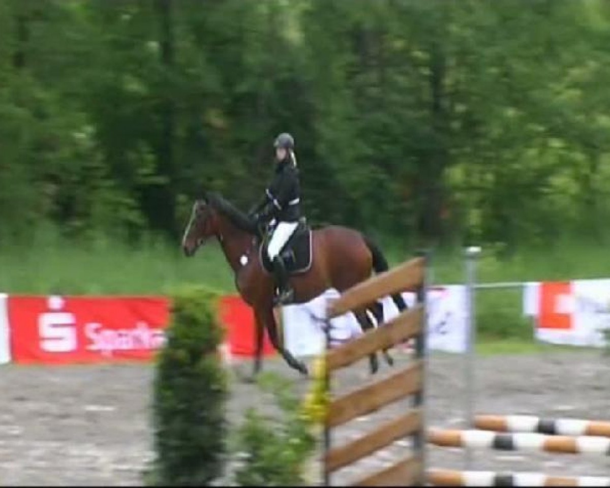 jumper Akita (Saxony-Anhaltiner, 1998, from Ajan xx)