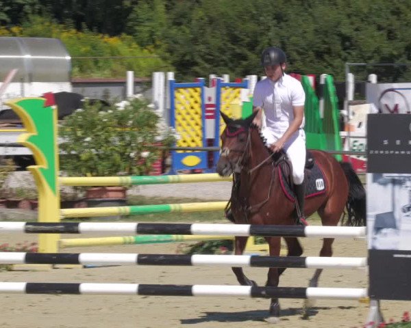 Reitturnier Oberderdingen 2022