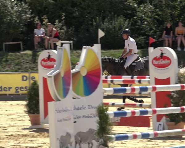 Reitturnier Kreiensen- Rittierode 2022