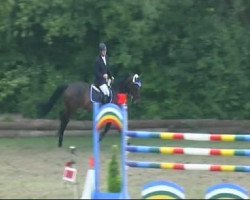 jumper C'est la vie 105 (Swedish Warmblood, 2003, from Cagliostro 161 FIN)