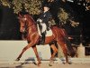 dressage horse Rimbeau (Zweibrücken, 1999, from Royal Diamond)