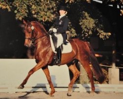 dressage horse Rimbeau (Zweibrücken, 1999, from Royal Diamond)